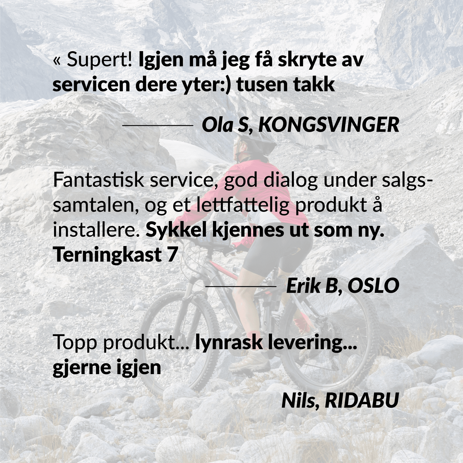 bikespeed-RSc for Haibike FLYON med TQ motor (2019-2021) - ebiketechnology