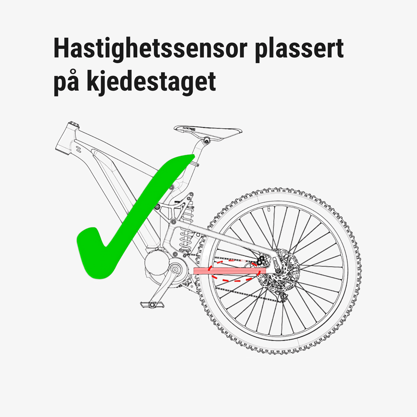 badassBox 4 Brose v2 - Opphever hastighetssperren på et øyeblikk! - ebiketechnology