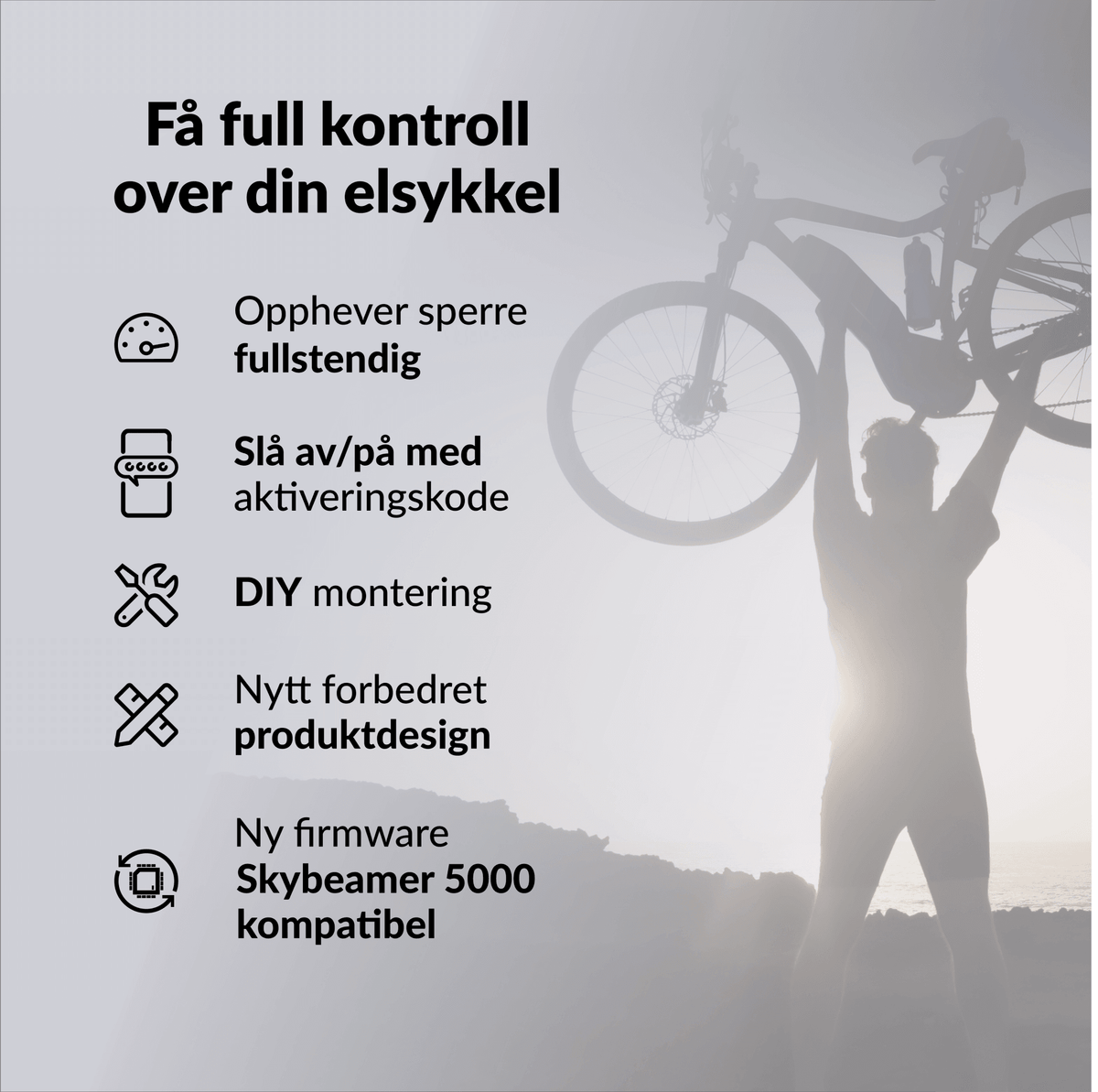 bikespeed-RS for Haibike FLYON med TQ motor (2019-2021) - ebiketechnology