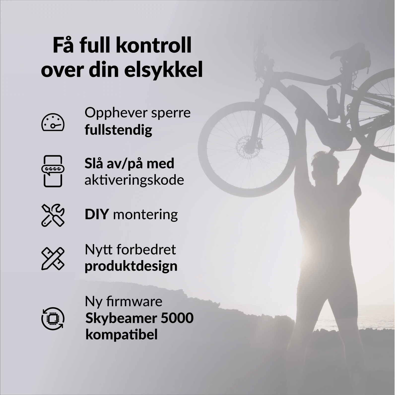 bikespeed-RS for Haibike FLYON med TQ motor (2019-2021) - ebiketechnology