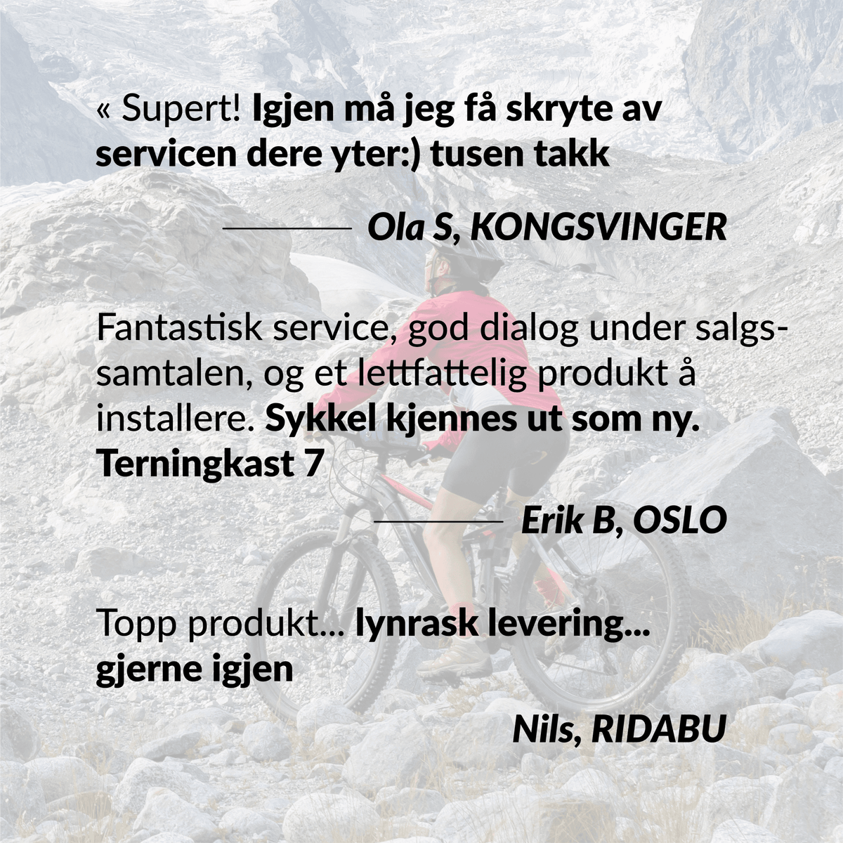 bikespeed-RSc for Haibike FLYON med TQ motor (2019-2021) - ebiketechnology