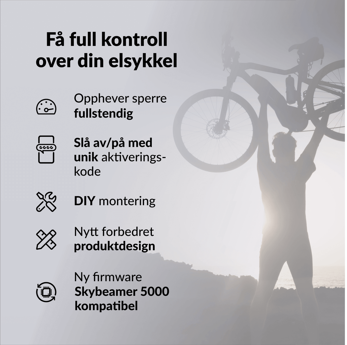 bikespeed-RSc for Haibike FLYON med TQ motor (2019-2021) - ebiketechnology