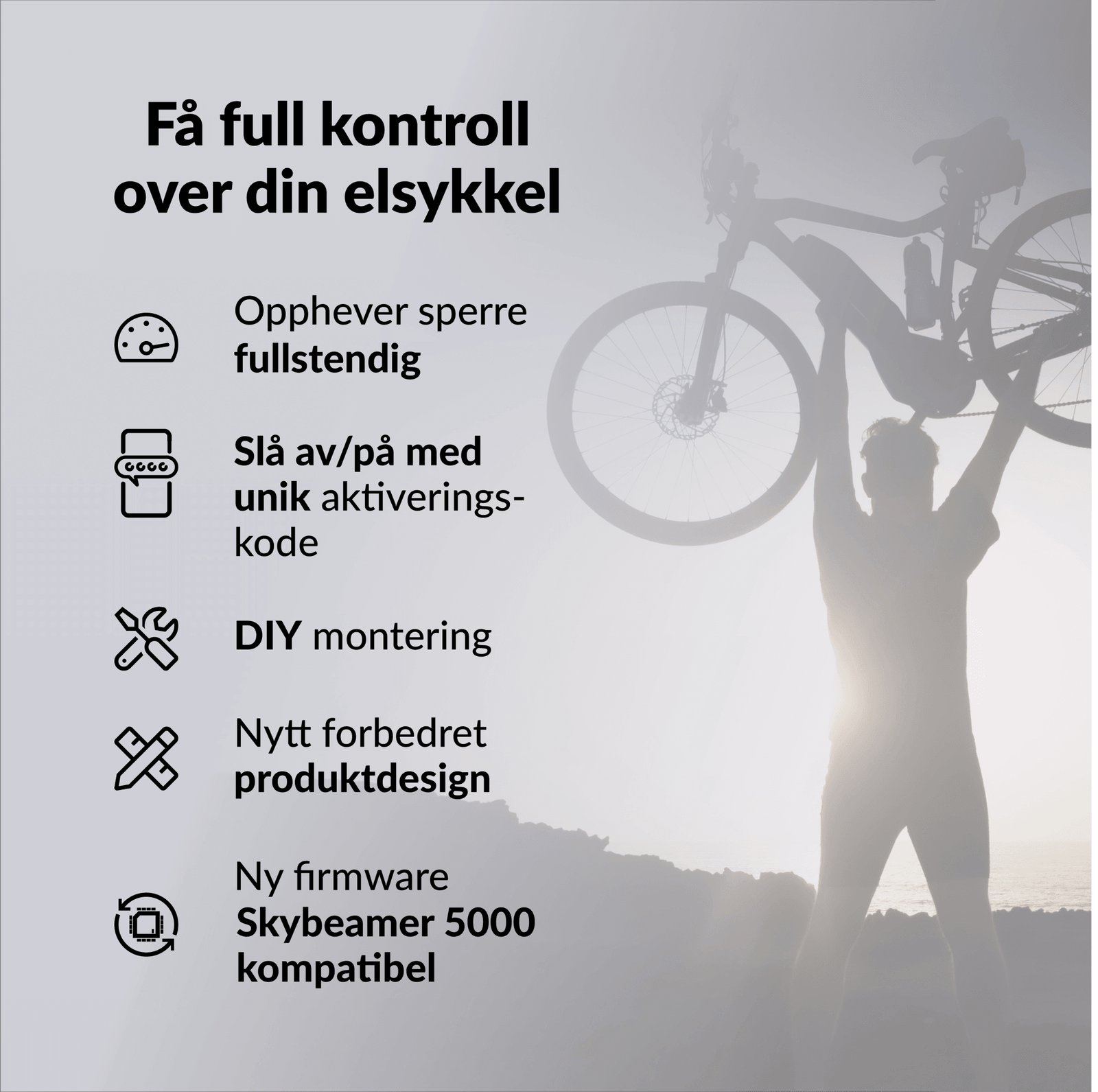 bikespeed-RSc for Haibike FLYON med TQ motor (2019-2021) - ebiketechnology