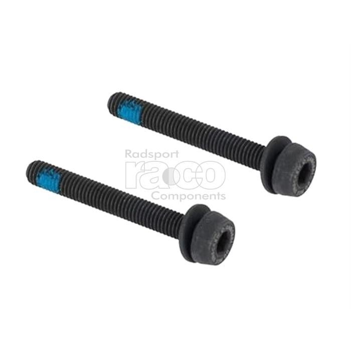 Campagnolo skruesett for HO/Ekar Disc Brake | 2x39 for 30-34 mm | AC18-DBSC39 - ebiketech