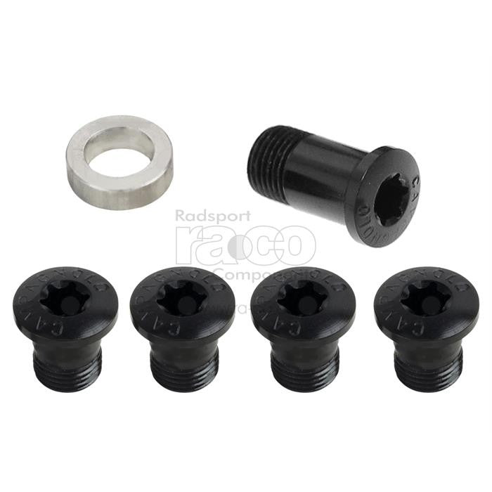 Campagnolo Super Record Chain Ring Screws Set | FC-SR300 - ebiketech
