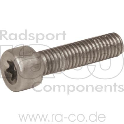 Rustfritt Stee Torx Socket Screw | M5 x 20 mm | Hver pakke 250 stk - ebiketech