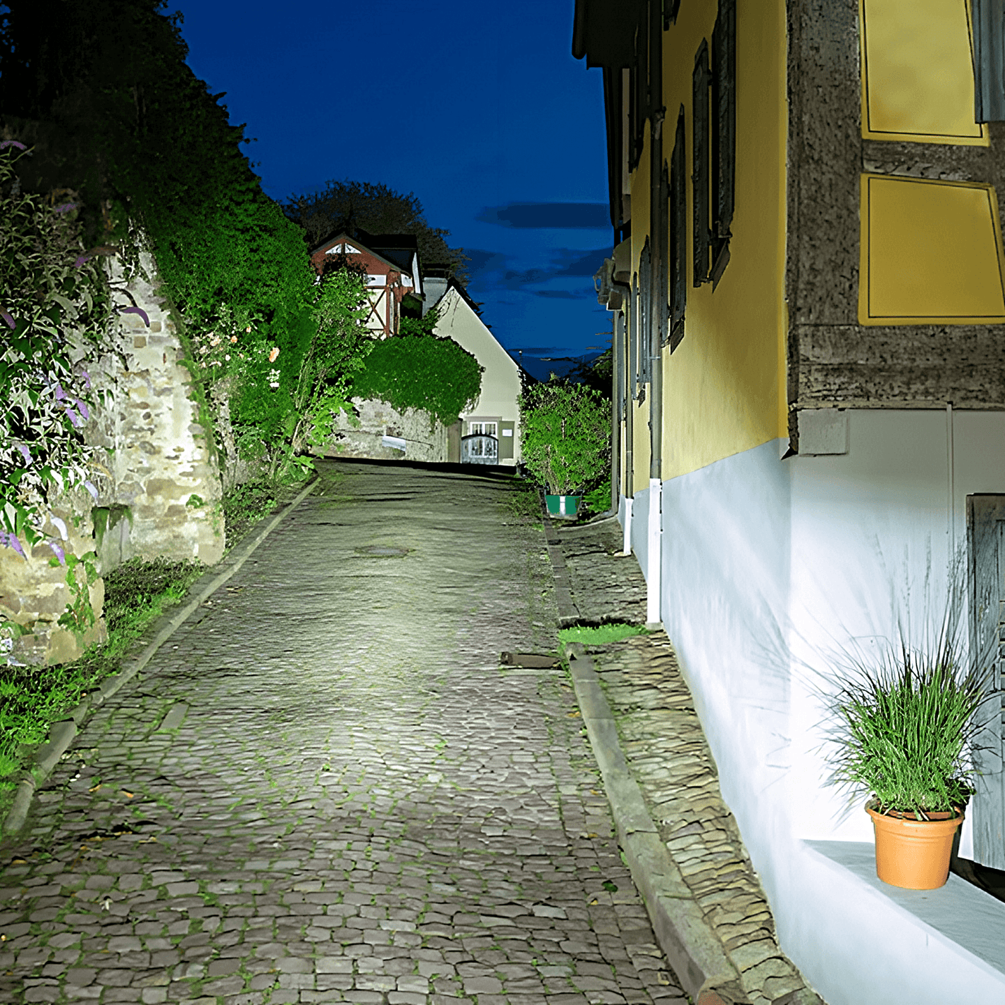 Supernova M99 PRO Frontlykt (24-60V DC) - ebiketech